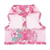 Cool Mesh Dog Harness with Leash
